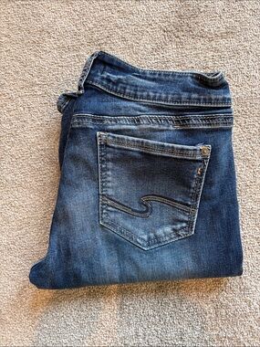 Silver Jeans Women’s Indigo Skinny Jeans with Stitched Back Pocket